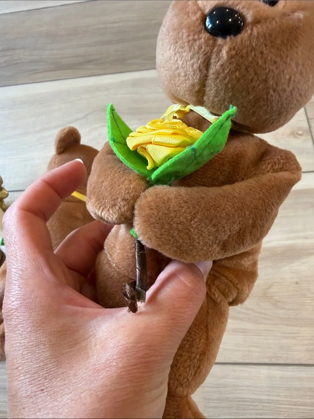 Ty 'Get Well Soon' Plush Bears - White and Brown with Green & Gold Accents